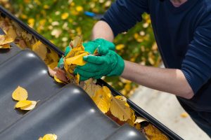 Person entsorgt Herbstlaub in grüne Bio-Tonne.